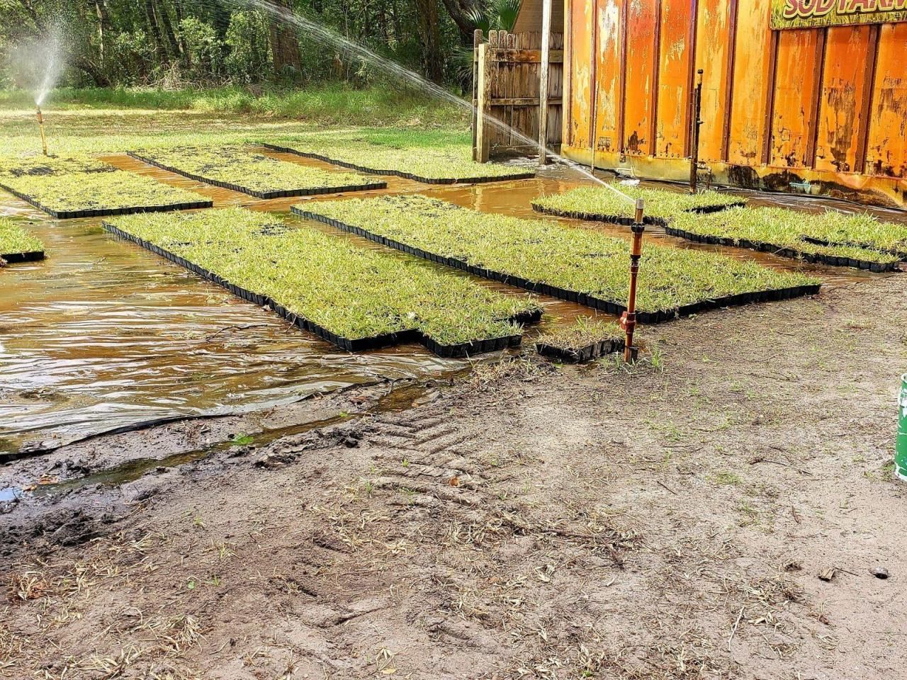 8751 Ridge Rd, New Port Richey, FL 34654 Photo