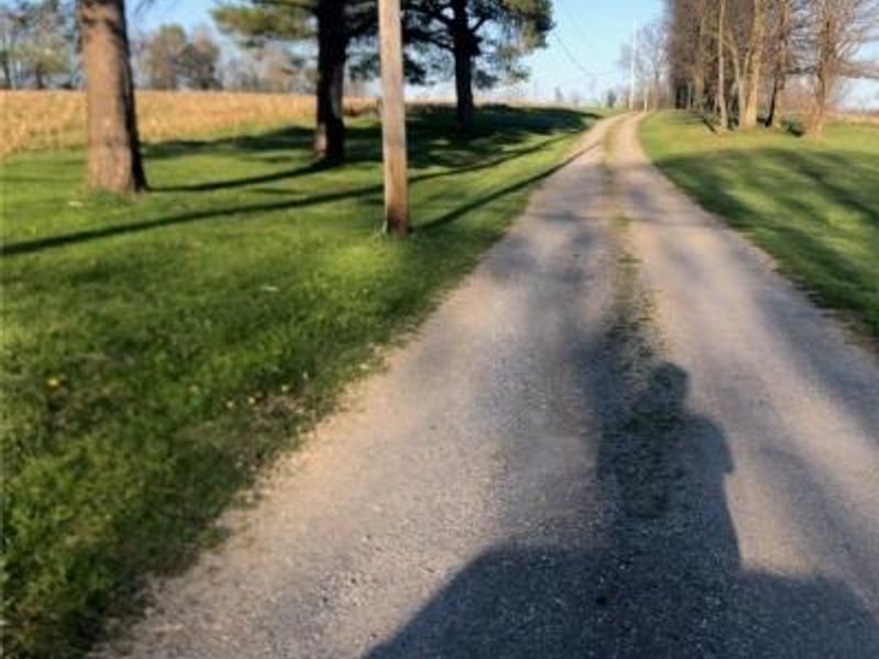 11695 Basinger Road, North Lima, OH 44452 Photo 11