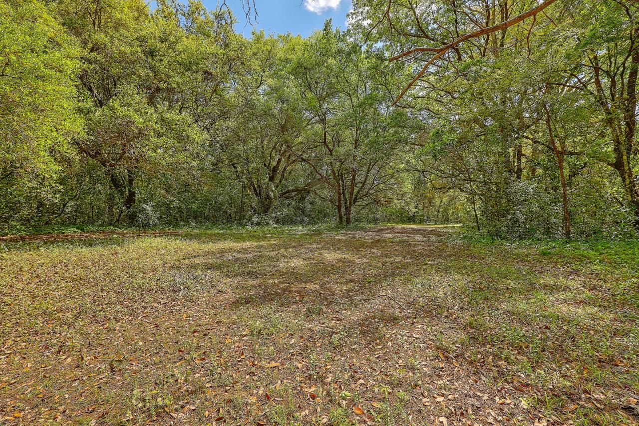 1447 Fort Lamar Road Photo 11