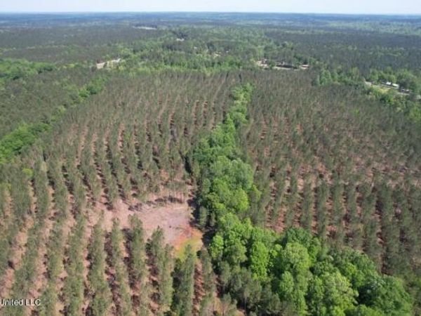 Co Rd 5033, Heidelberg, MS 39439