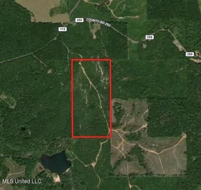 C R 1115, Vossburg, MS 39366 Main Photo