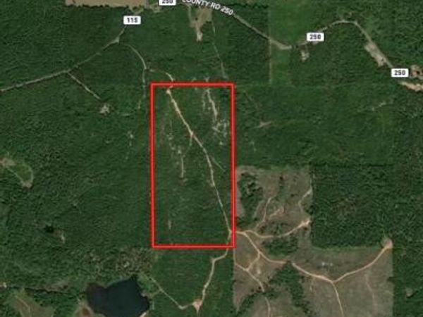 C R 1115, Vossburg, MS 39366