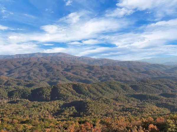 29R4/29R5 Chilhowee Mountain Tr, Maryville, TN 37803