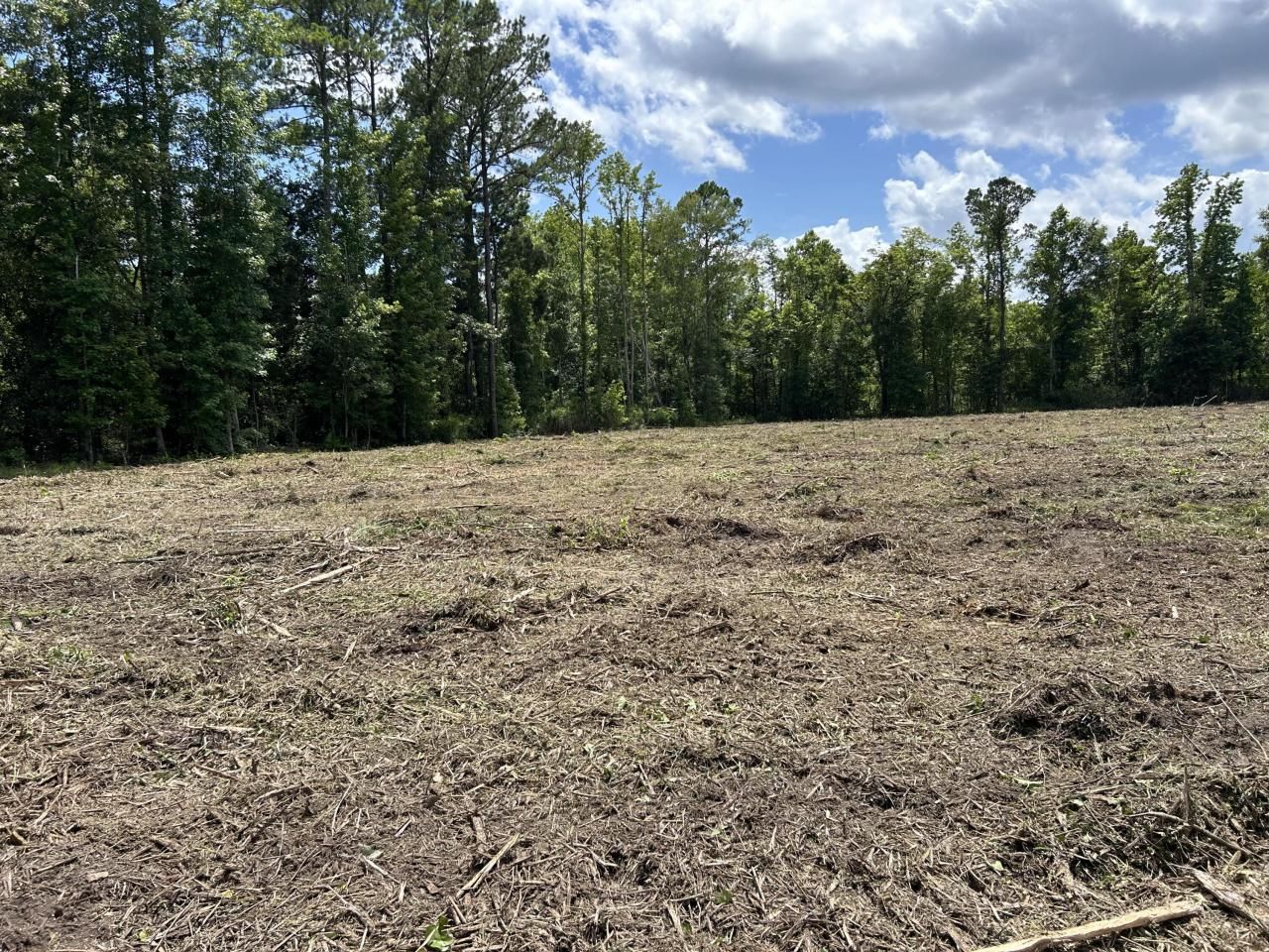 1 Ace Basin Hwy Photo 8