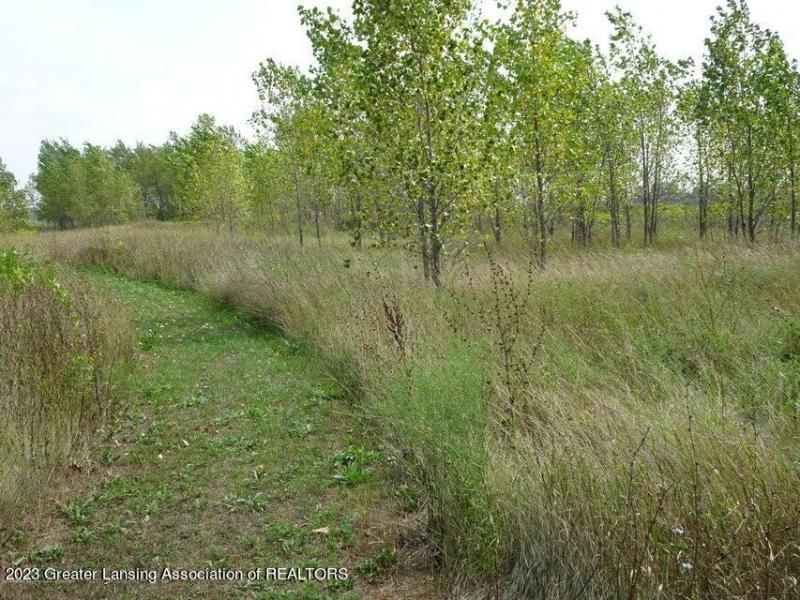 700 E Townsend Road, Saint Johns, MI 48879 Main Photo