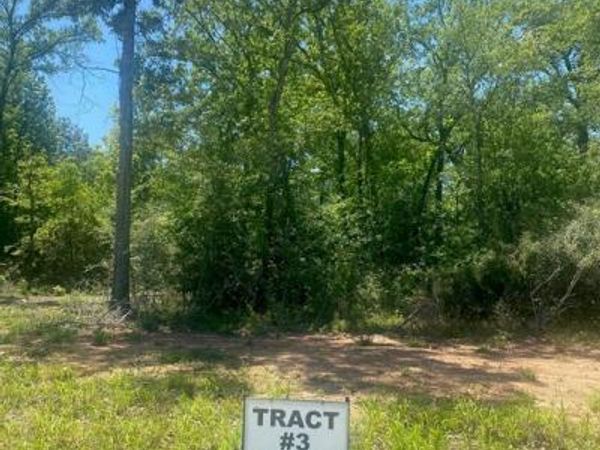 TBD 3 FM 1848, Buffalo, TX 75831