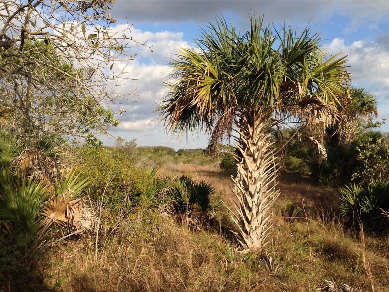 50670 Bermont Road, Punta Gorda, FL 33982 Photo