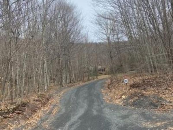 219 Bailey Road, Jewett, NY 12444