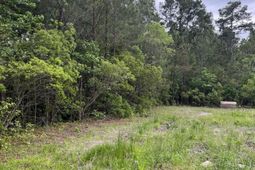 Tbd Betts Rd. photo 4