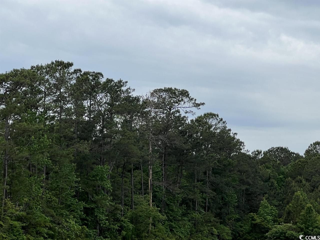 Tbd Betts Rd. Photo 5