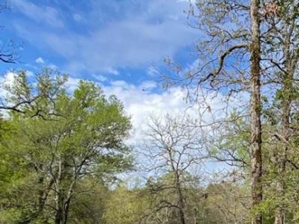 TBD 16 FM 1848, Buffalo, TX 75831