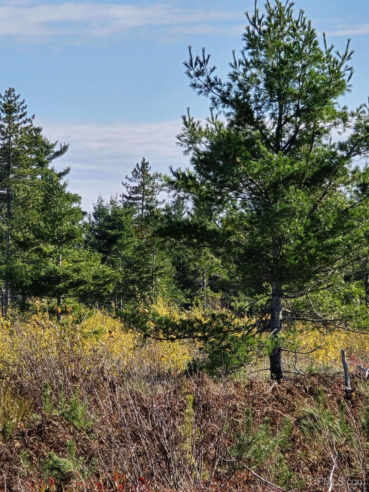 240 Acres Co Rd Aaa Road, Champion Twp, MI 49808 Main Photo