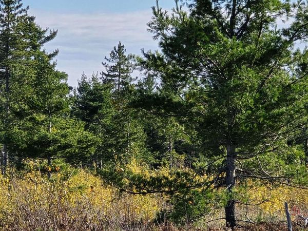 240 Acres Co Rd AAA Road, Champion Twp, MI 49808