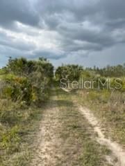 50530 Bermont Road, Punta Gorda, FL 33982 Photo