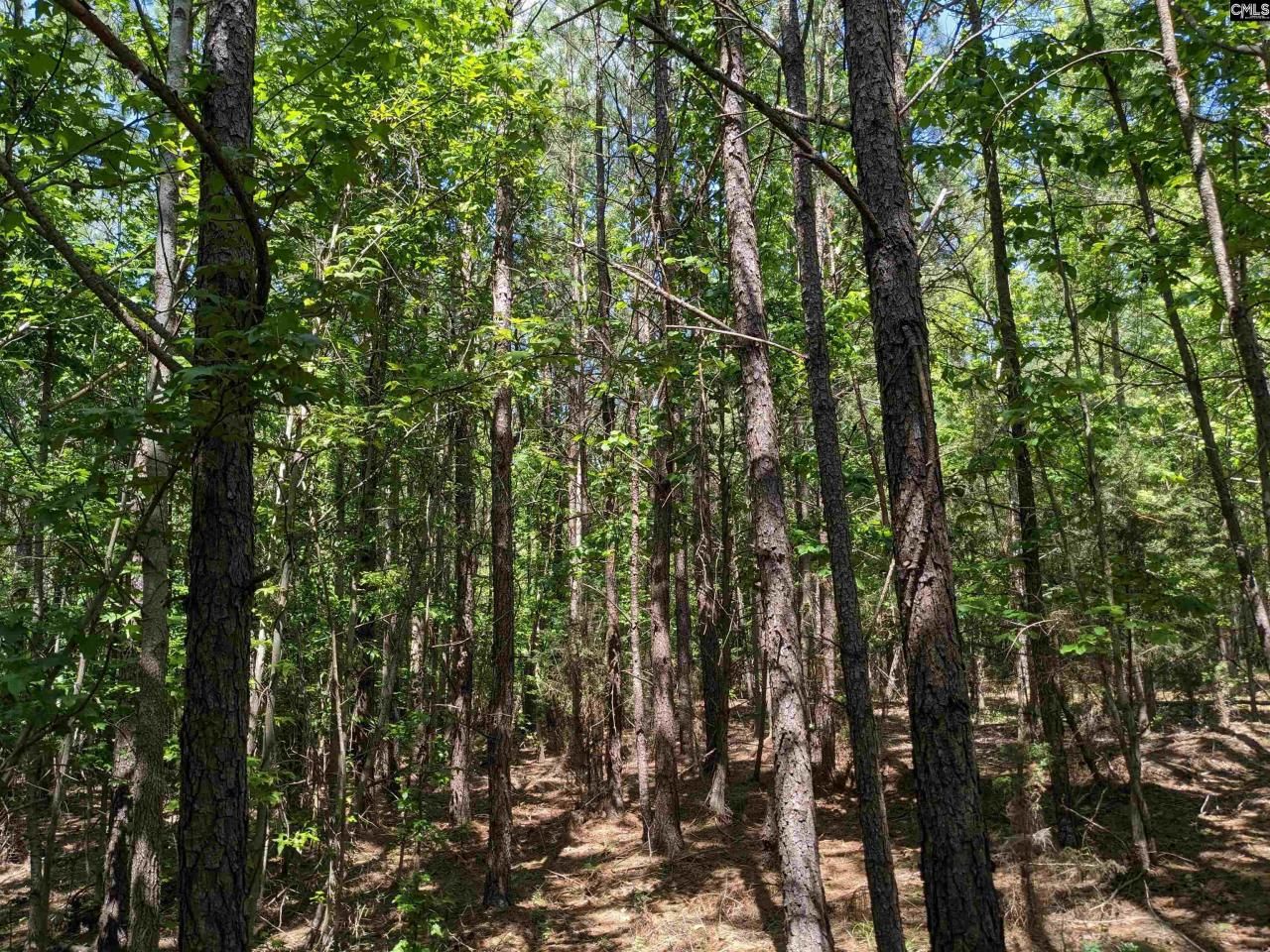 0 Jewel Drive Photo 10