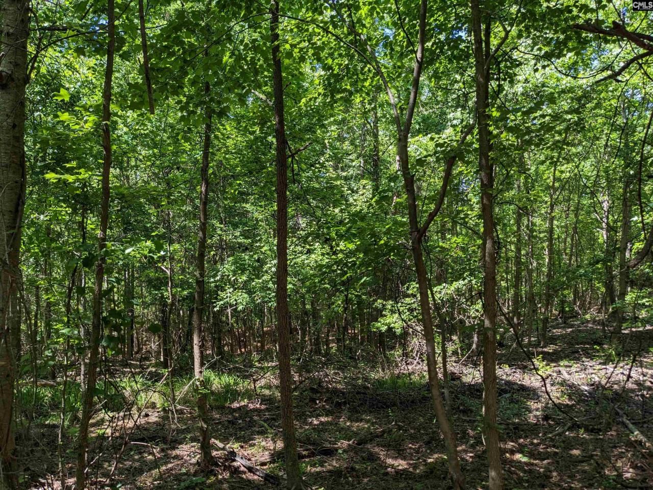 0 Jewel Drive Photo 11