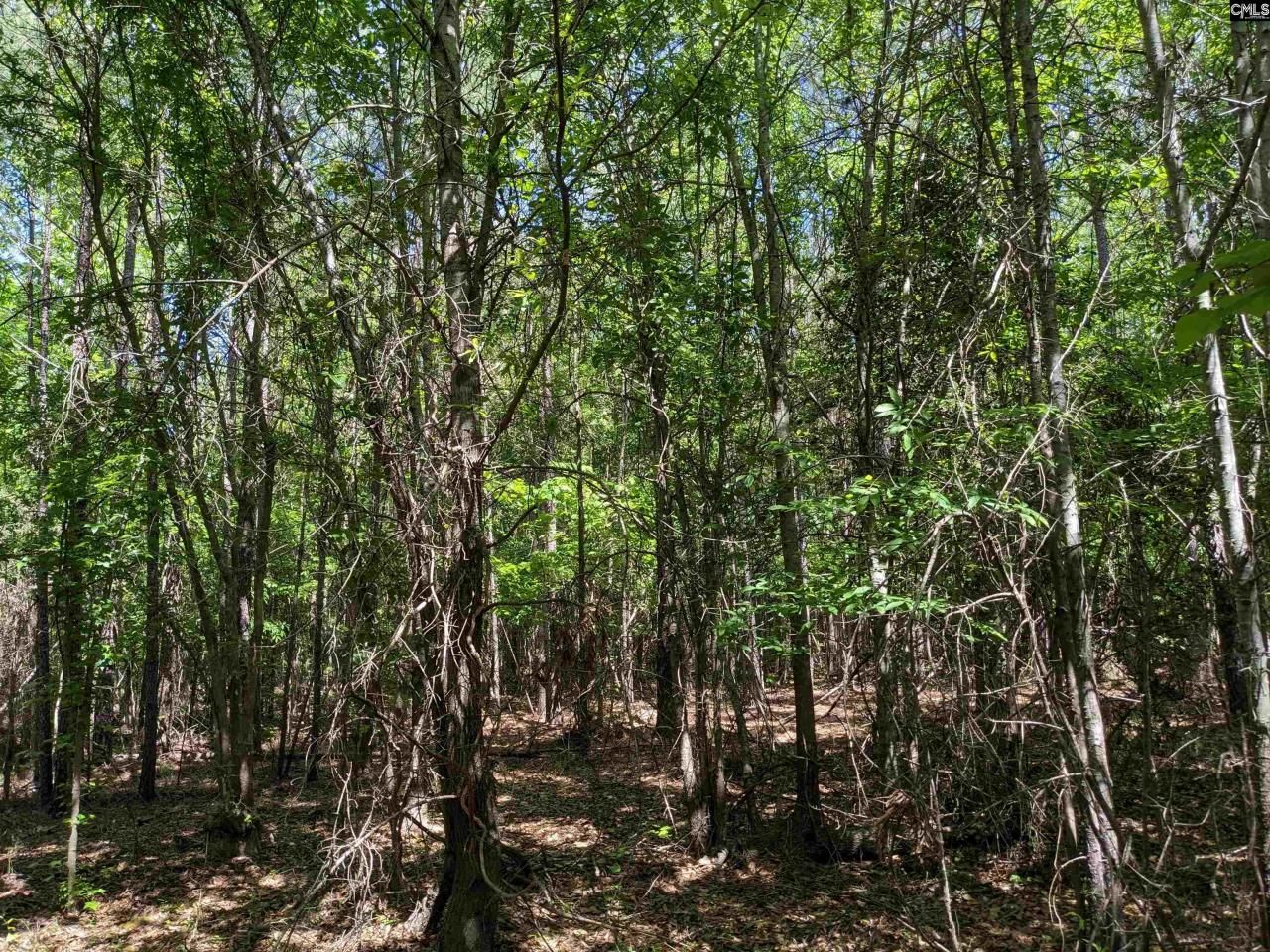 0 Jewel Drive Photo 12