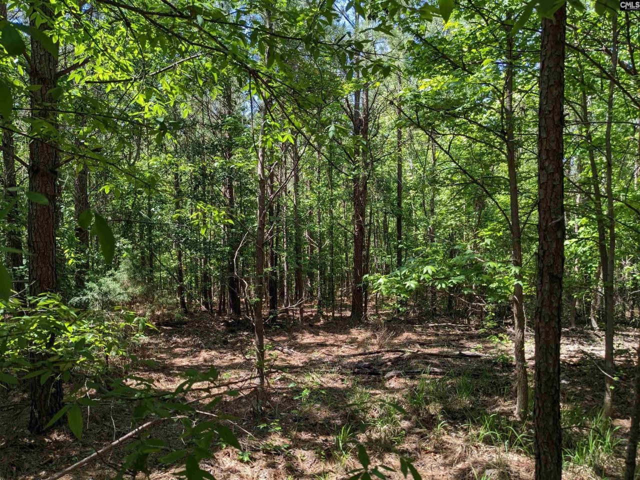 0 Jewel Drive Photo 13