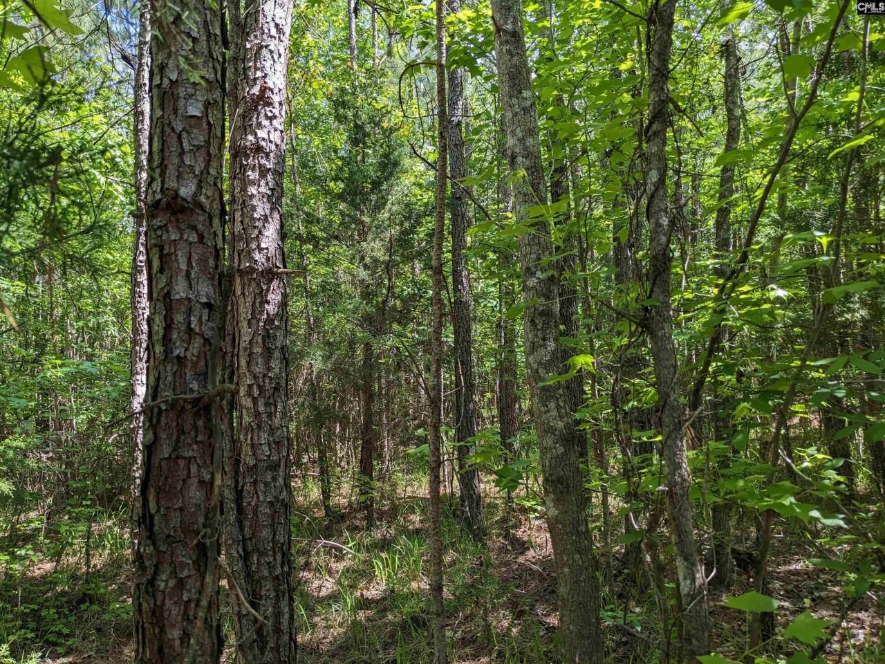 0 Jewel Drive Photo 16