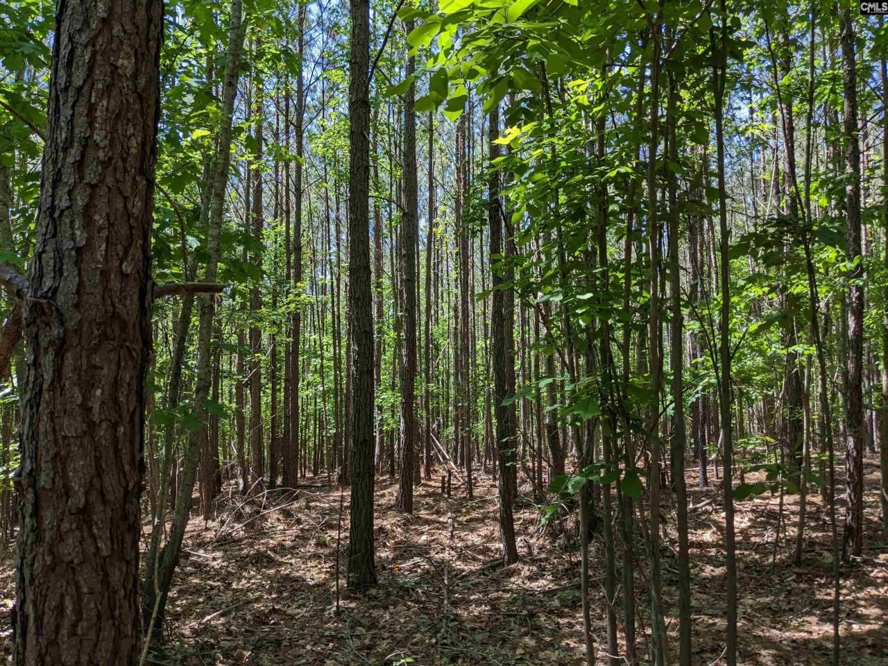 0 Jewel Drive Photo 17