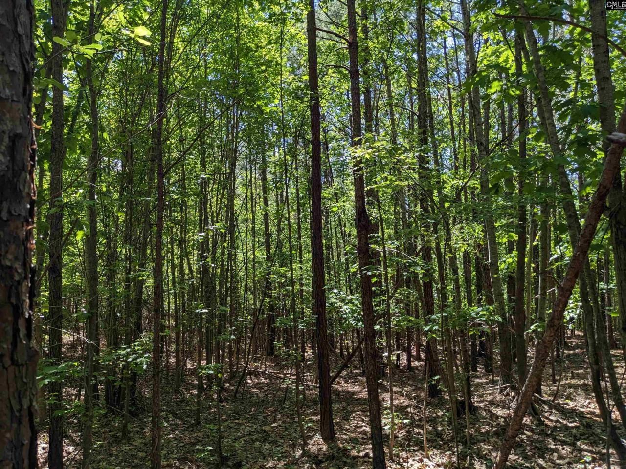 0 Jewel Drive Photo 18