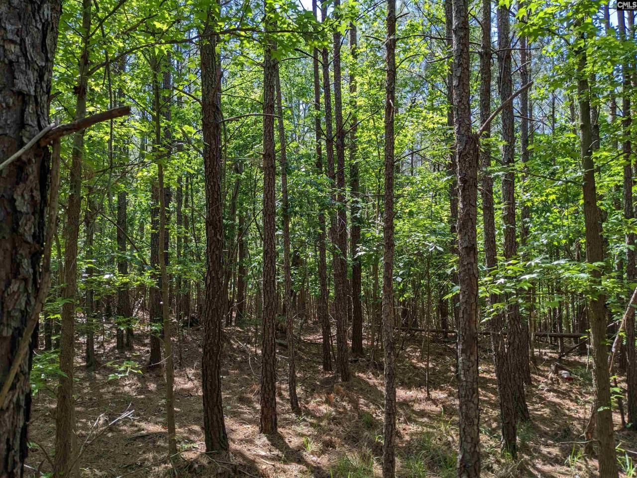 0 Jewel Drive Photo 19