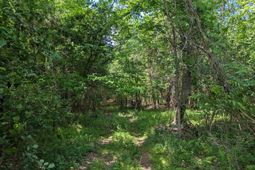 0 Jewel Drive photo 4