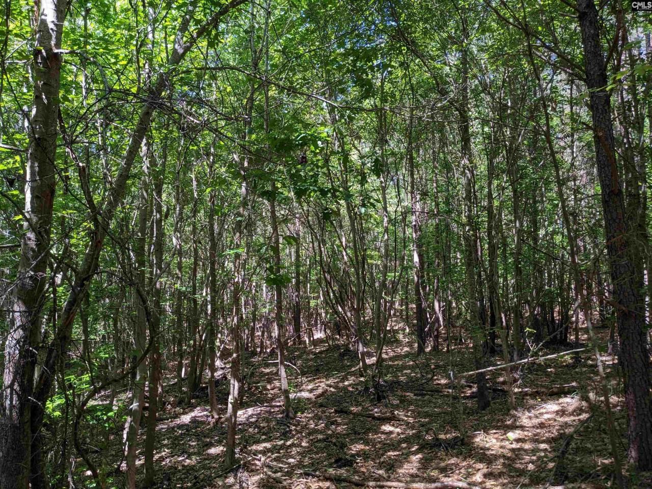 0 Jewel Drive Photo 20