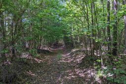 0 Jewel Drive photo 4