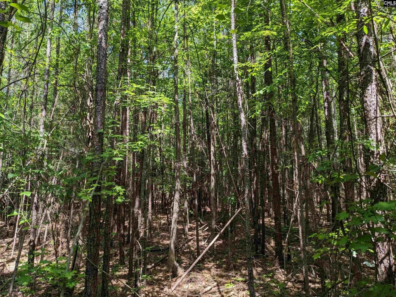 0 Jewel Drive Photo 4