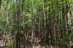 0 Jewel Drive photo 4