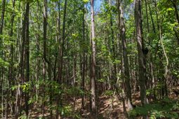 0 Jewel Drive photo 4