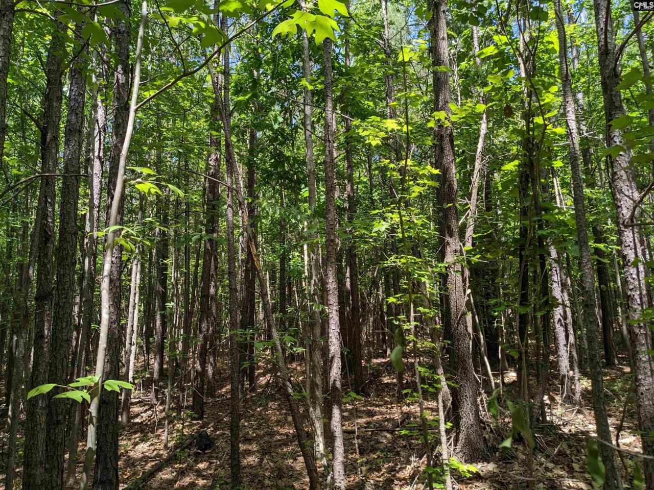 0 Jewel Drive Photo 6