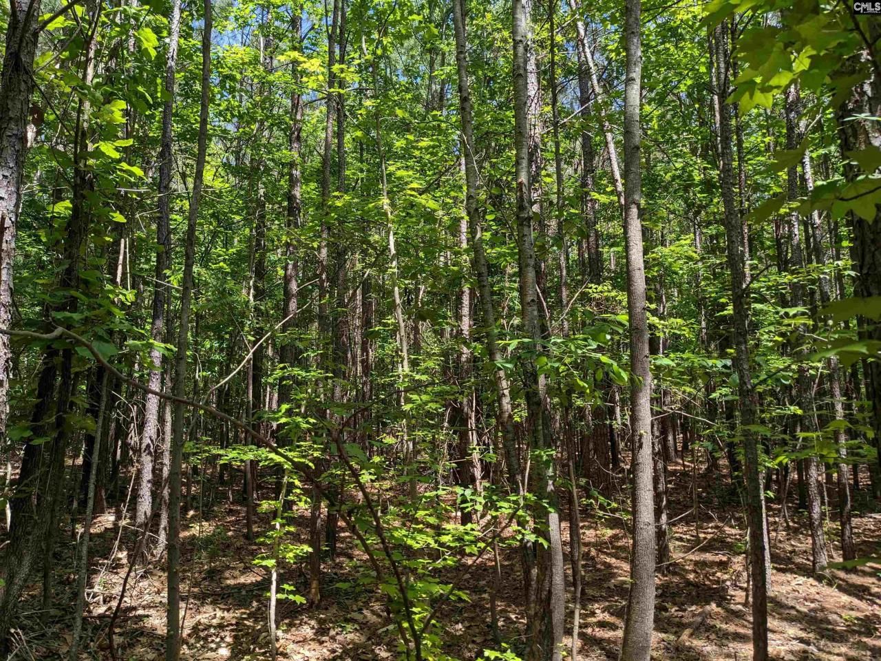 0 Jewel Drive Photo 7