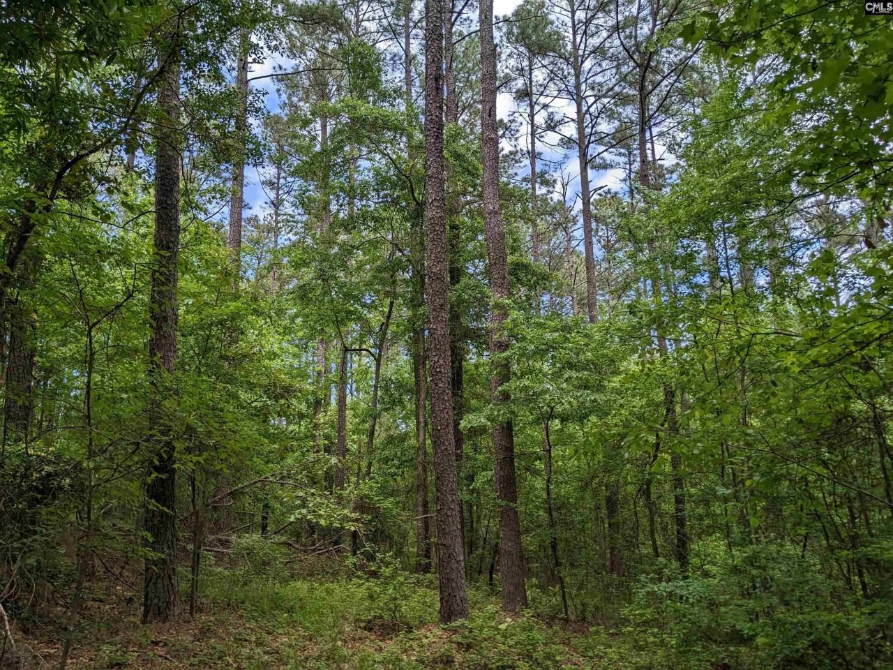 489 Syrup Mill Road Photo 10