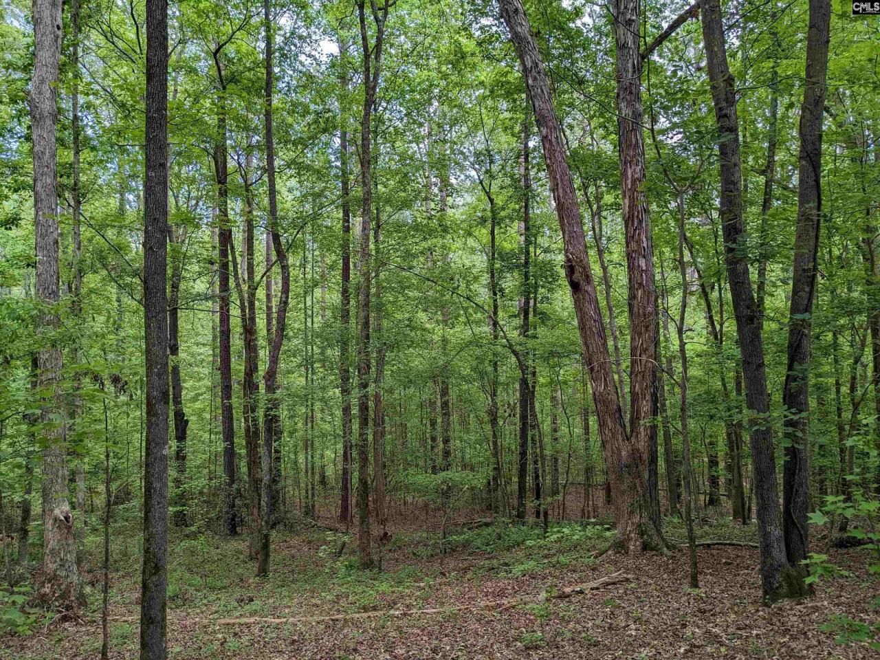 489 Syrup Mill Road Photo 12