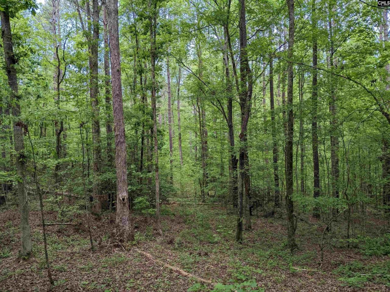 489 Syrup Mill Road Photo 13