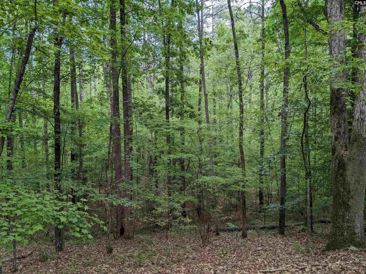 489 Syrup Mill Road Photo 14