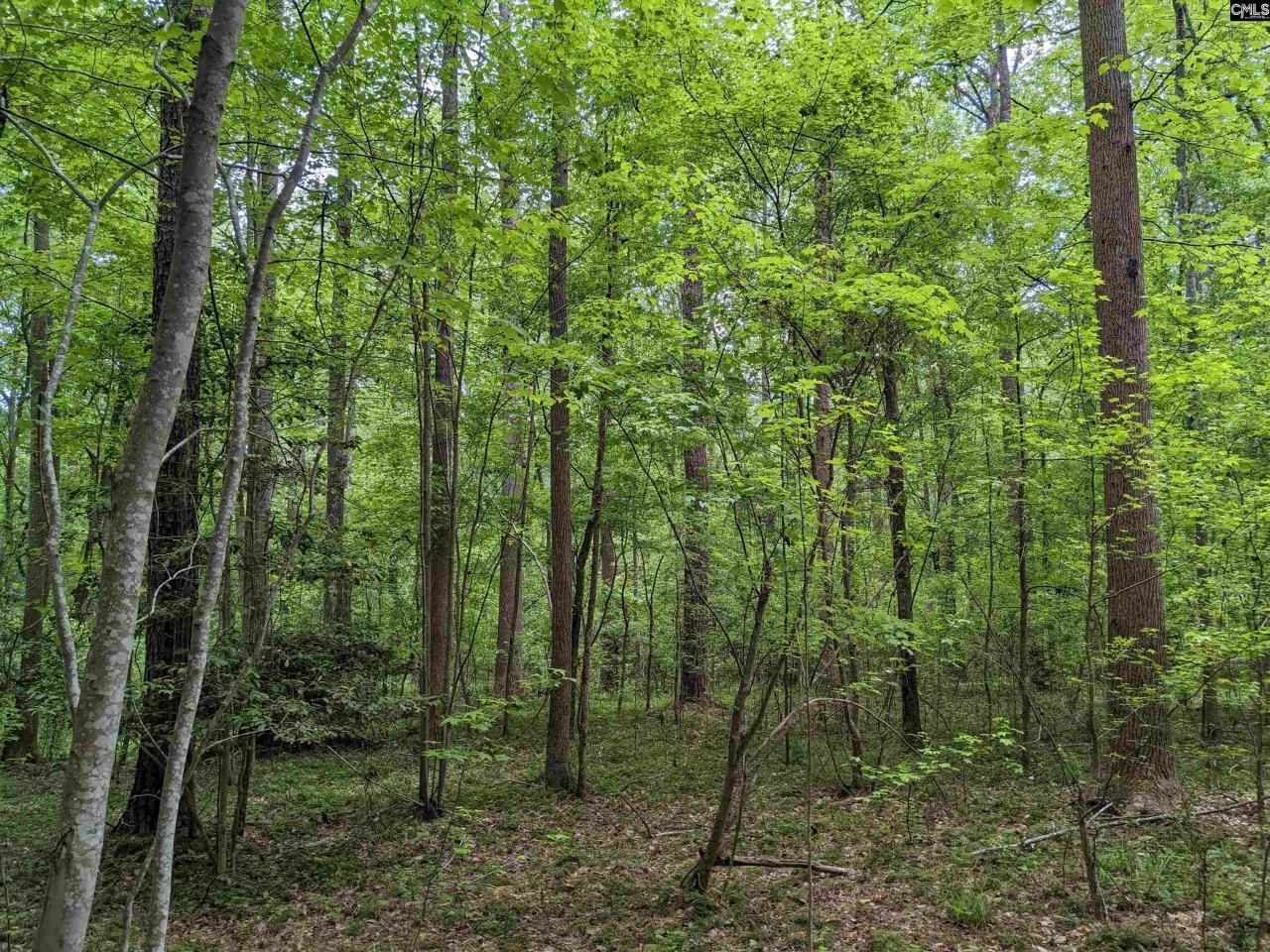 489 Syrup Mill Road Photo 15