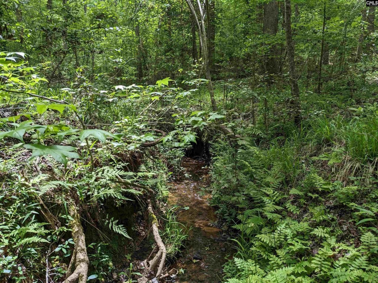 489 Syrup Mill Road Photo 17