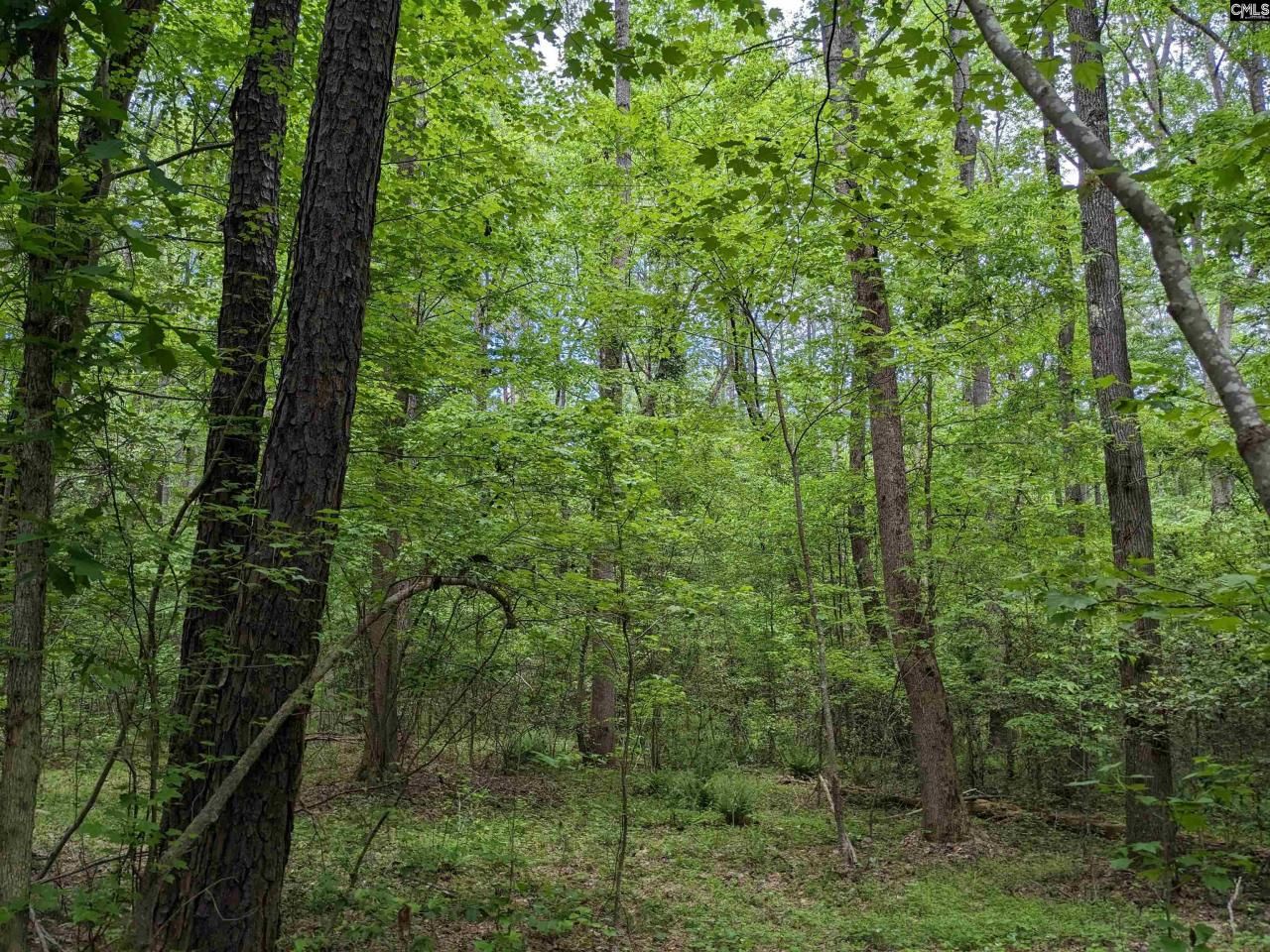 489 Syrup Mill Road Photo 18