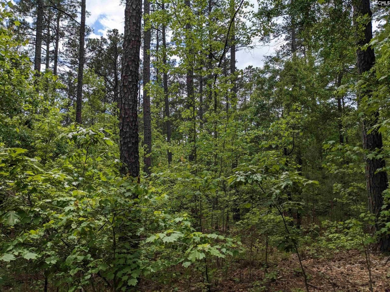 489 Syrup Mill Road Photo 19