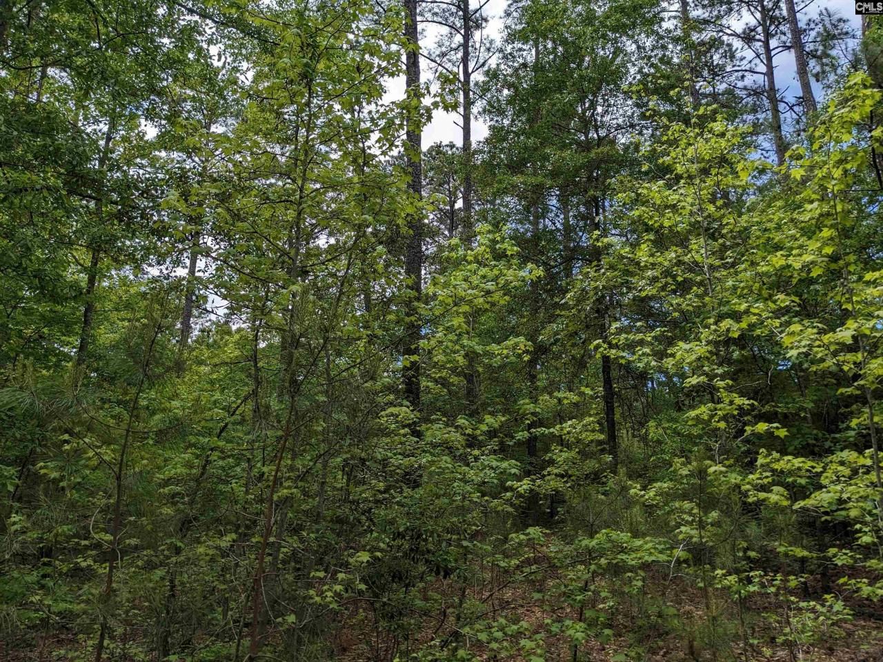 489 Syrup Mill Road Photo 20