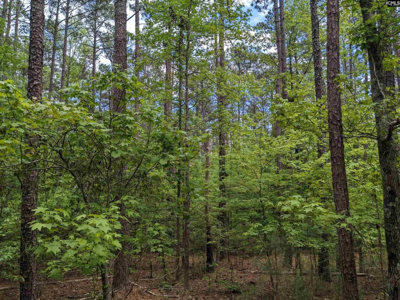 489 Syrup Mill Road Photo 22