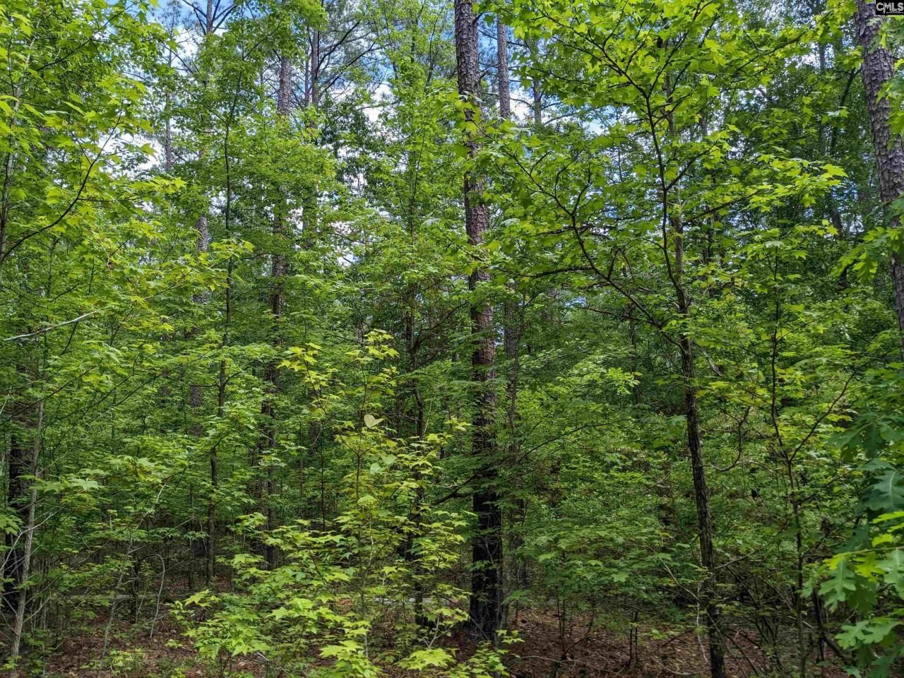 489 Syrup Mill Road Photo 23