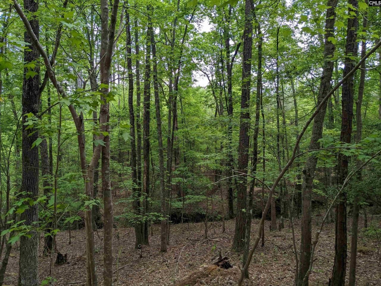 489 Syrup Mill Road Photo 24