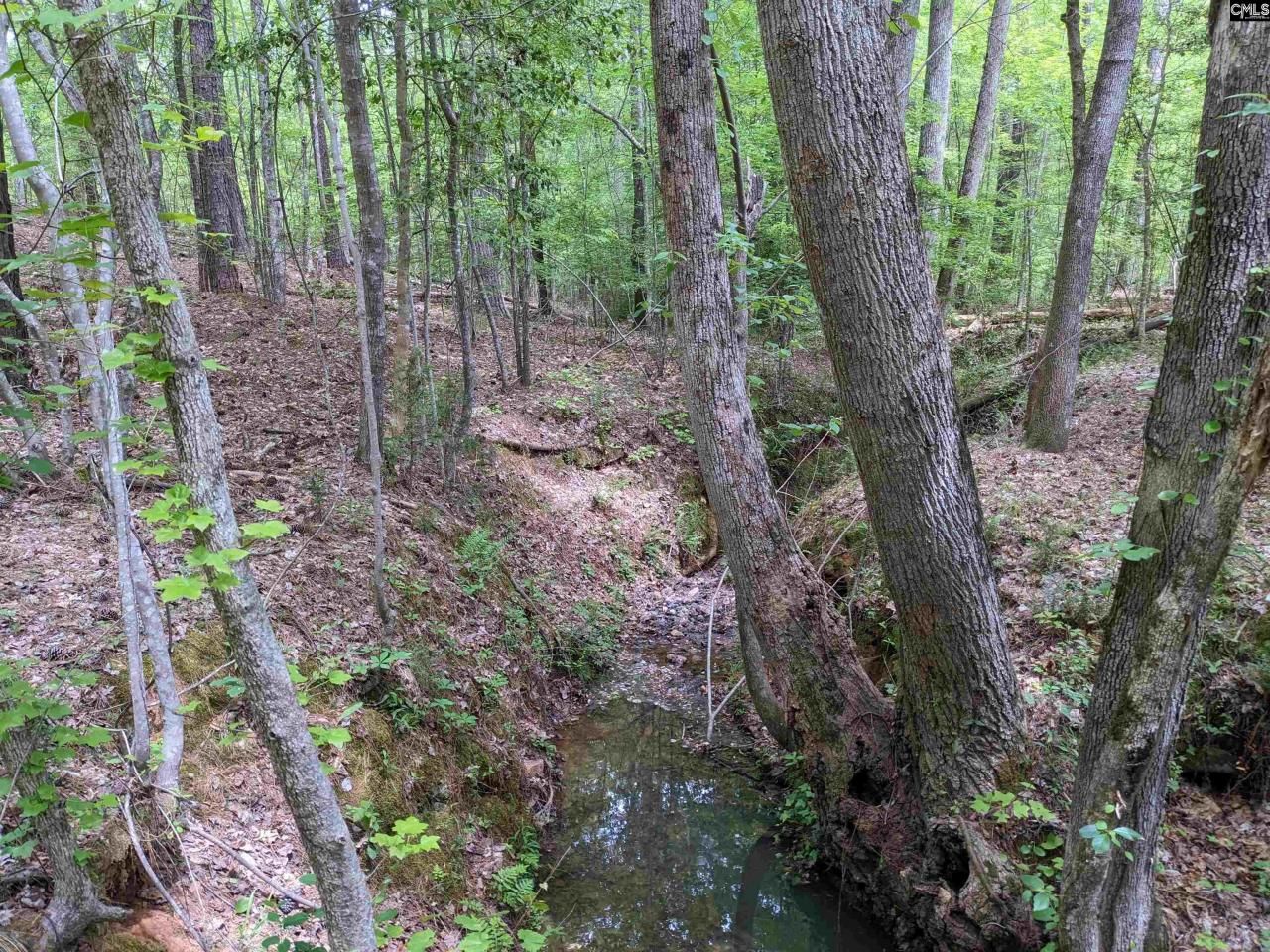 489 Syrup Mill Road Photo 25