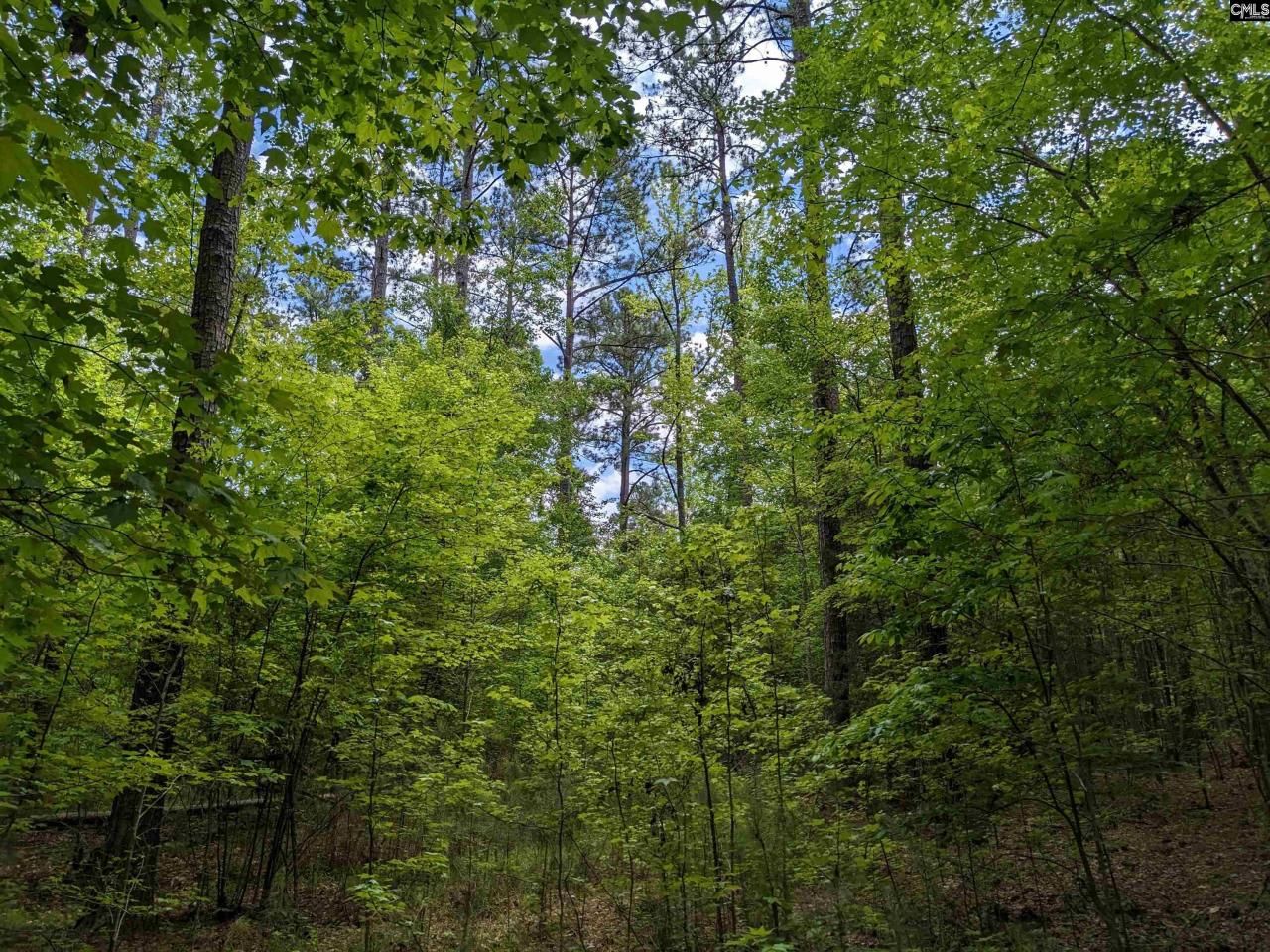 489 Syrup Mill Road Photo 26