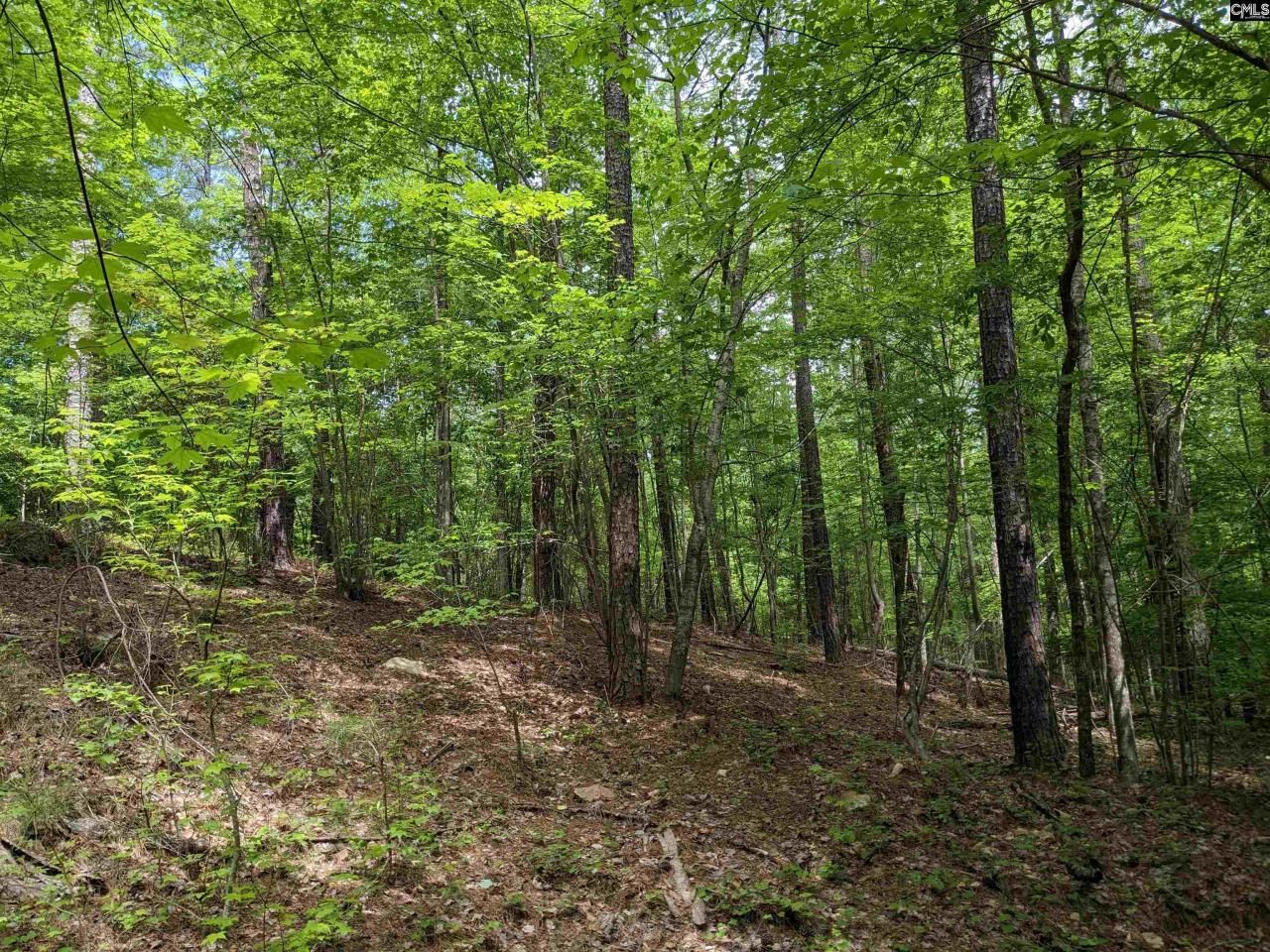 489 Syrup Mill Road Photo 27