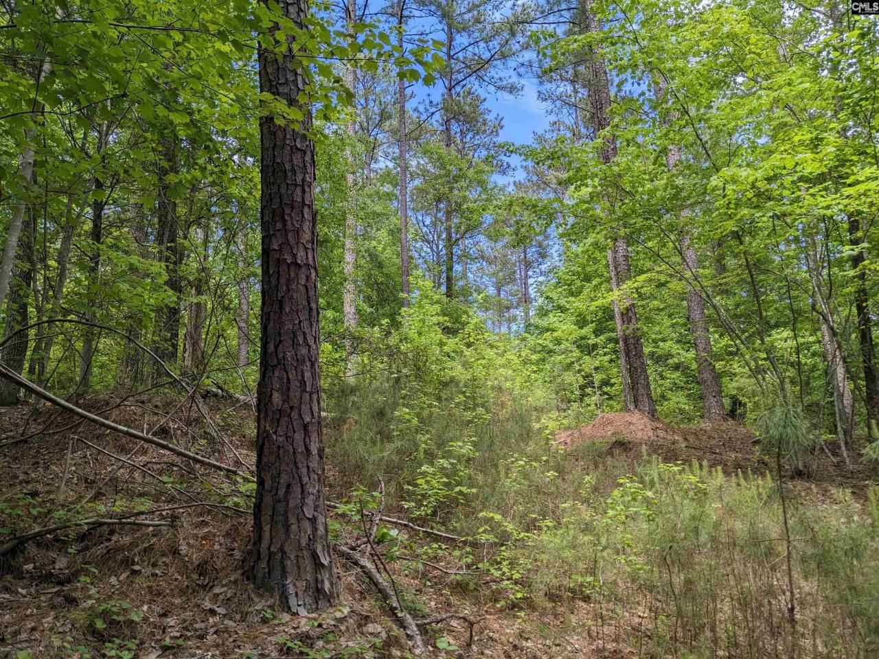 489 Syrup Mill Road Photo 28